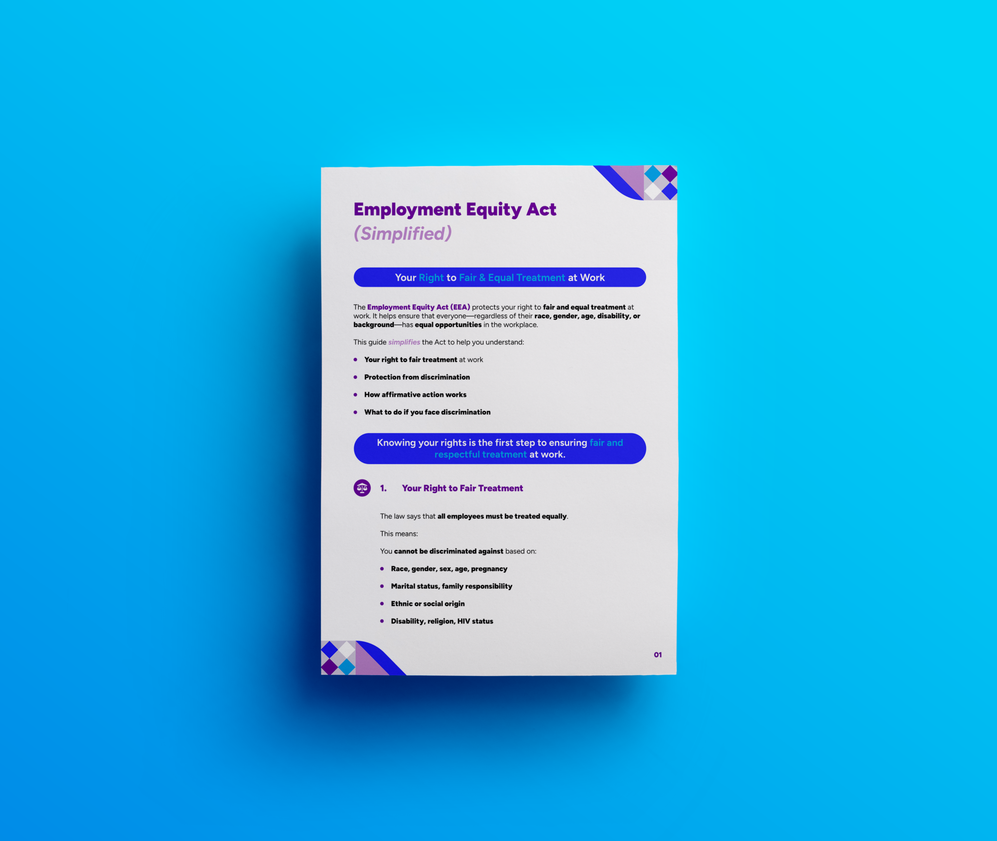 Employment Equity Act Template [FREE] | Legal Design South Africa